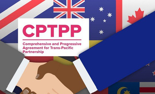 Những lợi ích khi Việt Nam phê chuẩn Văn kiện gia nhập CPTPP của Vương quốc Anh